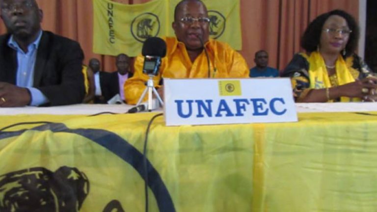 Baba Kyungu Unafec Lubumbashi