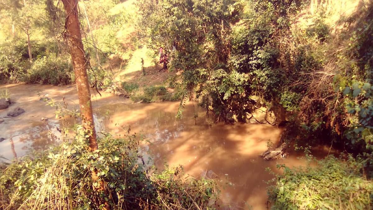 086678D0 80F6 4206 80D9 3E80701A0860