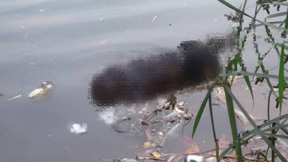 Bukavu : un corps sans vie d’un homme découvert sur le lac-Kivu près du terrain de la SNCC