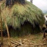 Nyiragongo un chef coutumier Munigi