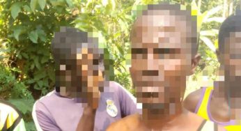 Sud-Kivu : 8 bandits armés dont un chef de bande arrêtés à Kabare et Kalehe