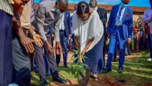 IMG 07122021 145452 1200 X 675 Pixel 300x169