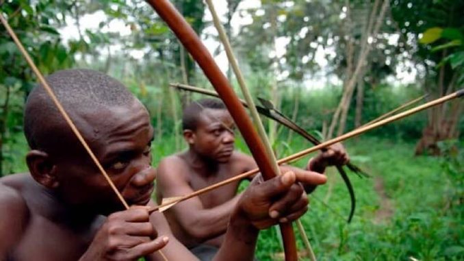 Pygmées RD Congo