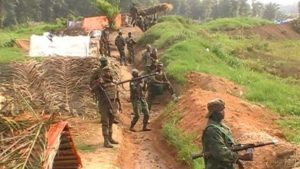 IMG 12012022 115009 1200 X 675 Pixel 300x169