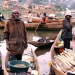 nord kivu lac edouard rdc