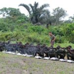 militaire belge et militaire rd congolais