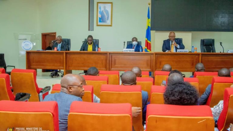 les ministres Aimé Boji du budget et Muhindo Nzangi