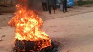 1F8E7B5C 1352 460D 95B2 0BAC17A605FB 300x169