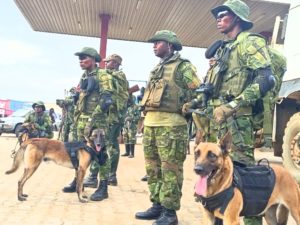 beni bataillon canine FARDC