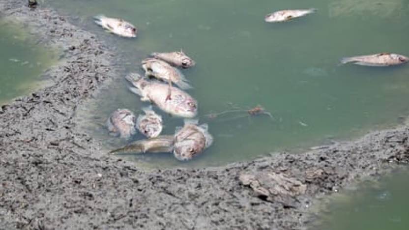 57130266 FE44 4F37 8468 EB49C3F9557C