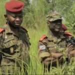 fardc