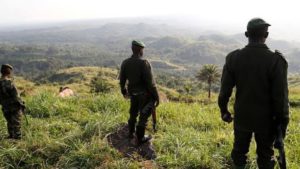 Les groupes rebelles