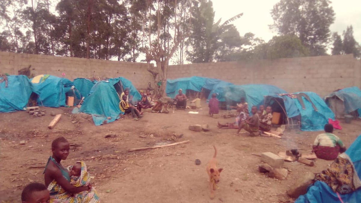 Tueries des ADF: Contraints de quitter leur milieu naturel, plusieurs familles pygmées vivent le calvaire dans la ville de Beni