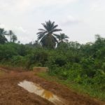 Mwenga : Des routes de desserte agricole