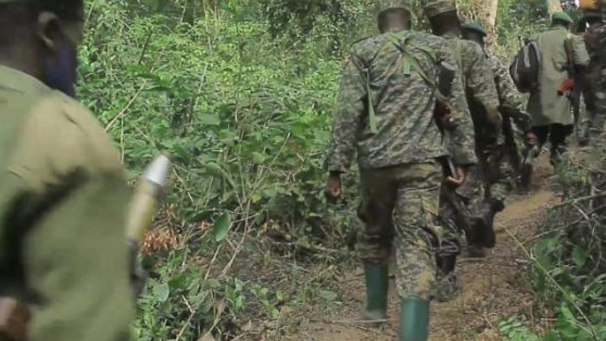 Opérations conjointes FARDC-UPDF : 15 combattants ADF tués à Beni et Irumu (Lt colonel Mak Azoukay)