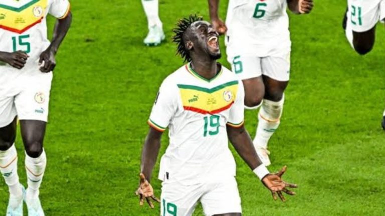 Le Sénégal,Les lions de la Teranga