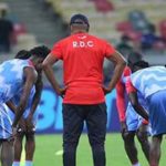 Léopard CHAN2023