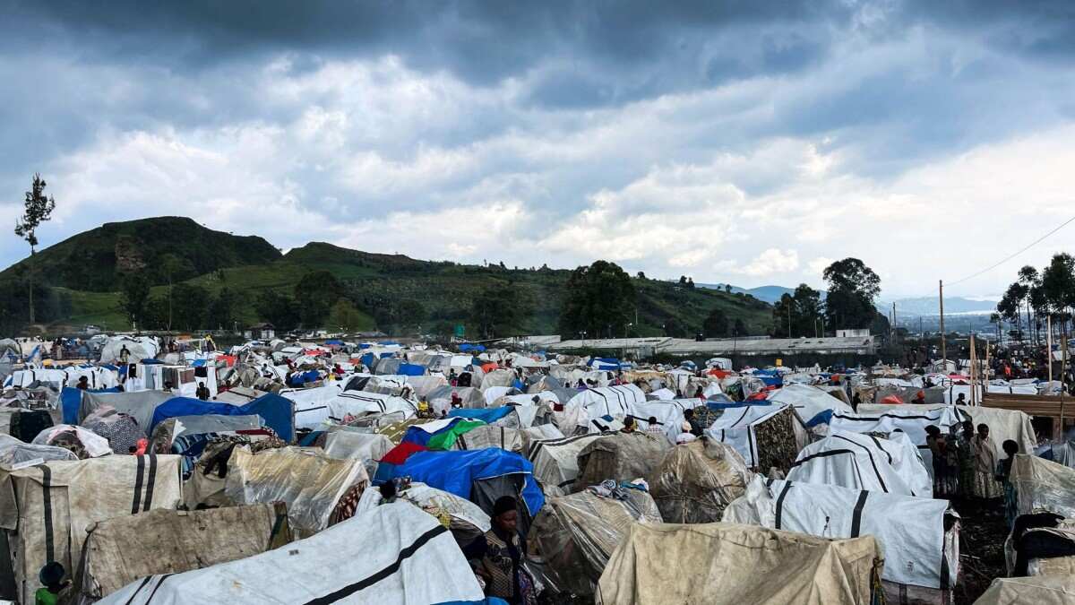 Ituri : Plus d’1,6 million de personnes déplacées, le HCR lance un appel à l’aide