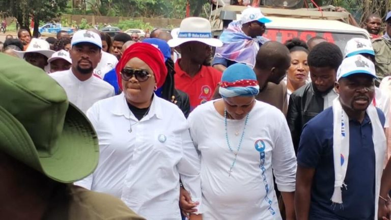 militants ensemble pour la république