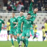 Les Fennecs d'Algérie