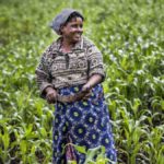 rdc agriculture félix tshisekedi (1)
