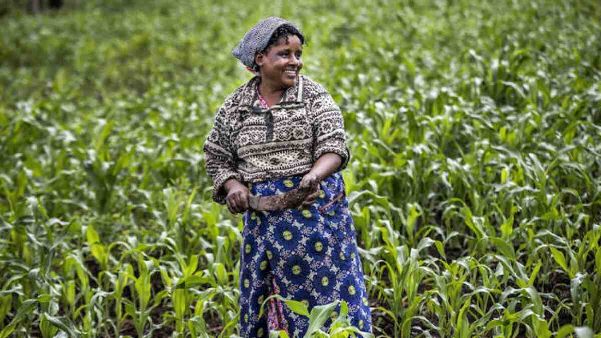 La RDC s'engage à améliorer la production agricole grâce à la formation