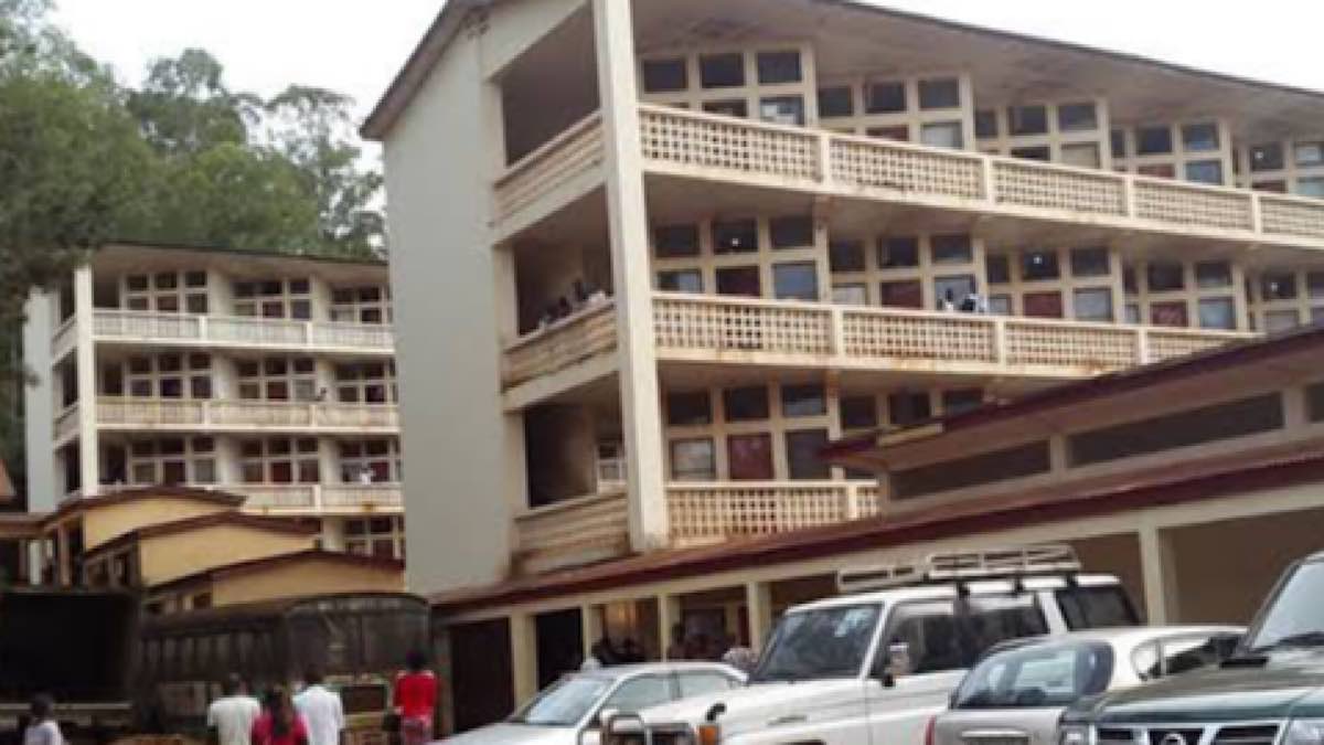 6C4A0F6B 6584 42D0 8AD2 F257A86332CF