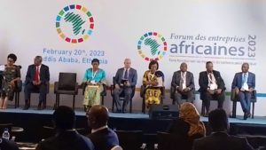 Eve Bazaiba, 6è forum des entreprises africaines