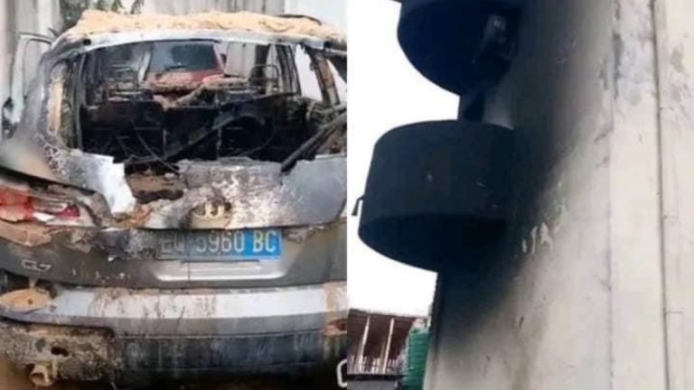 Fally Ipupa Macron Kinshasa