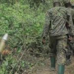 coalition FARDC-UPDF