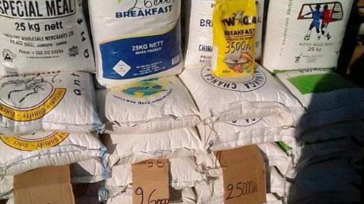 farine de maïs mbuji-mayi