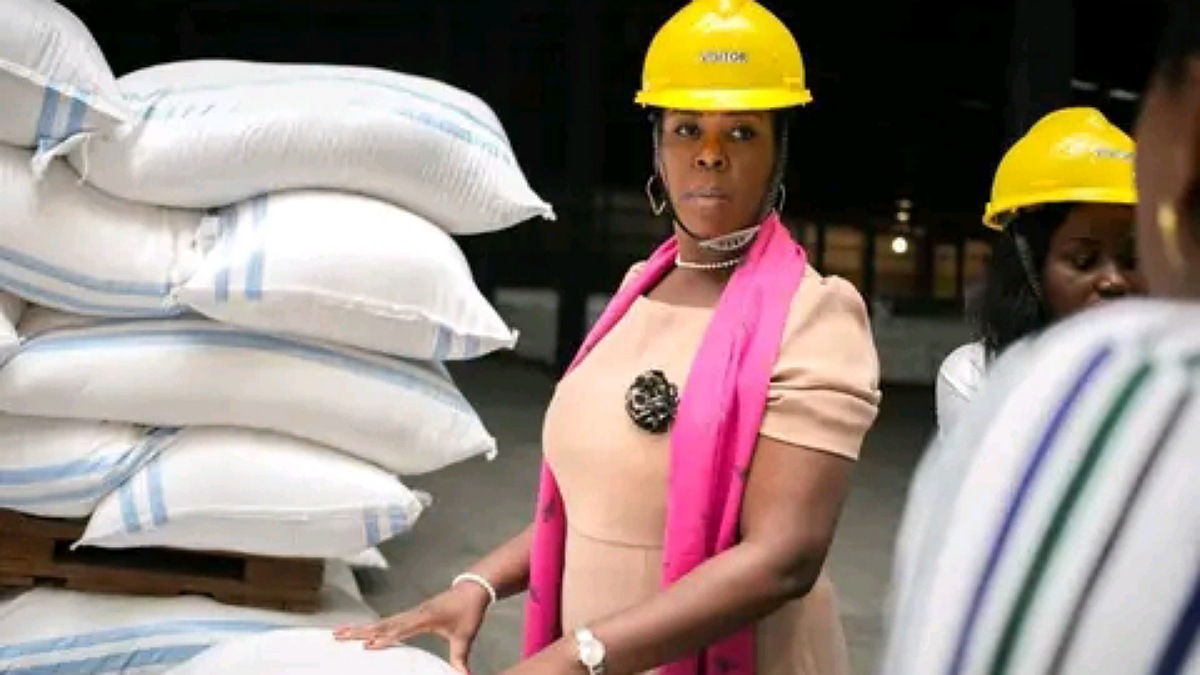 African Miling Company SARL dans le Haut-Katanga,