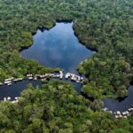 biodiversité dans le Bassin du C