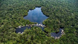 biodiversité dans le Bassin du C