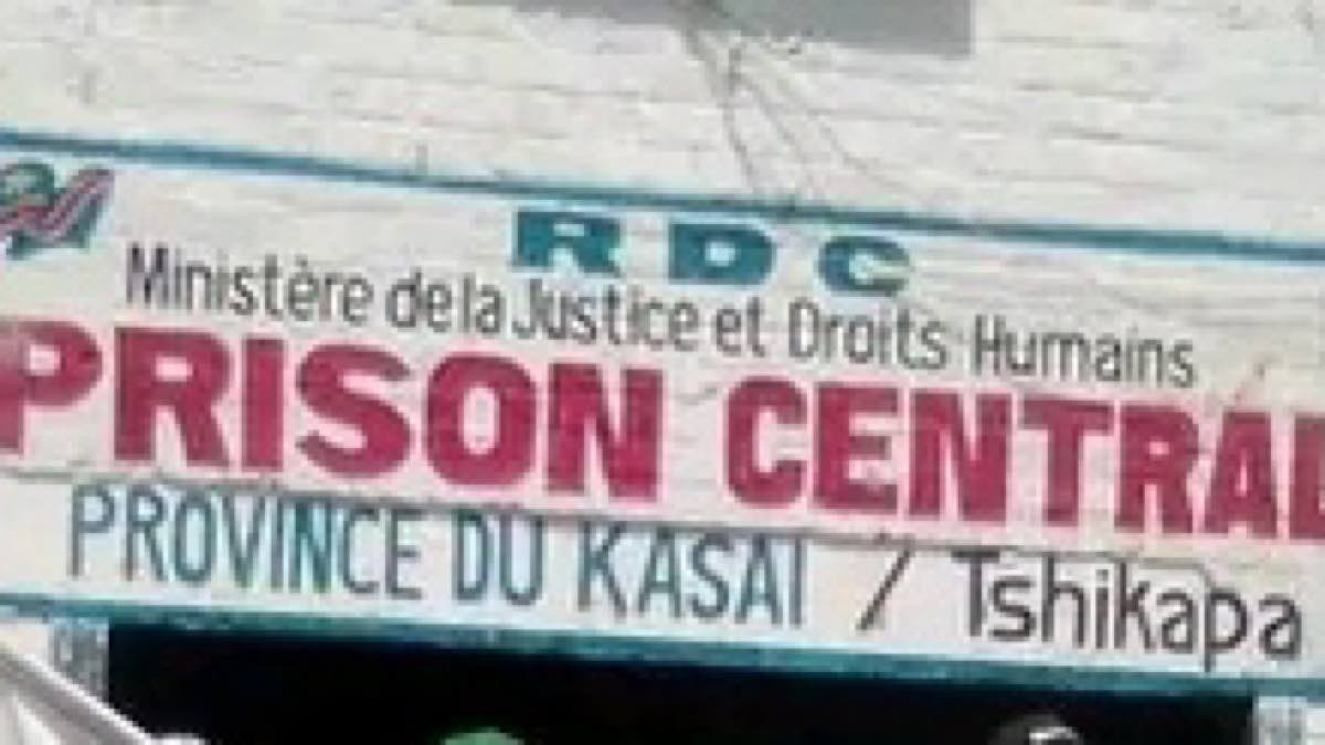 3A8D2E93 B1BE 4D9C BFC7 F130246F9049