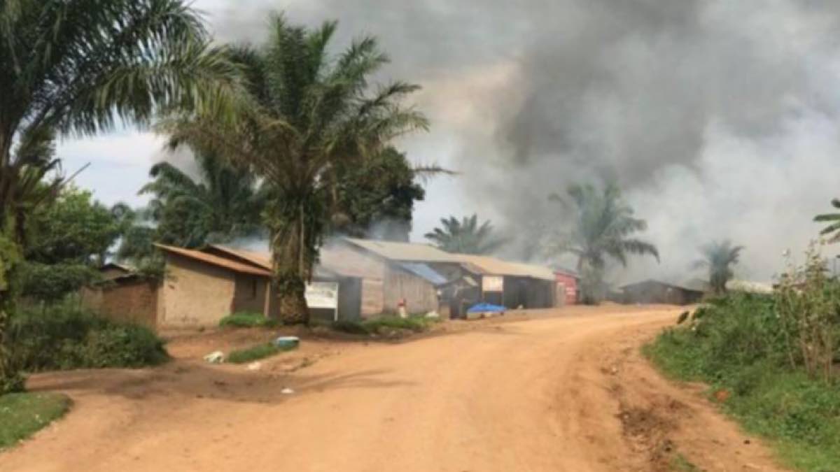 Ituri Mambisa Djugu CODECO