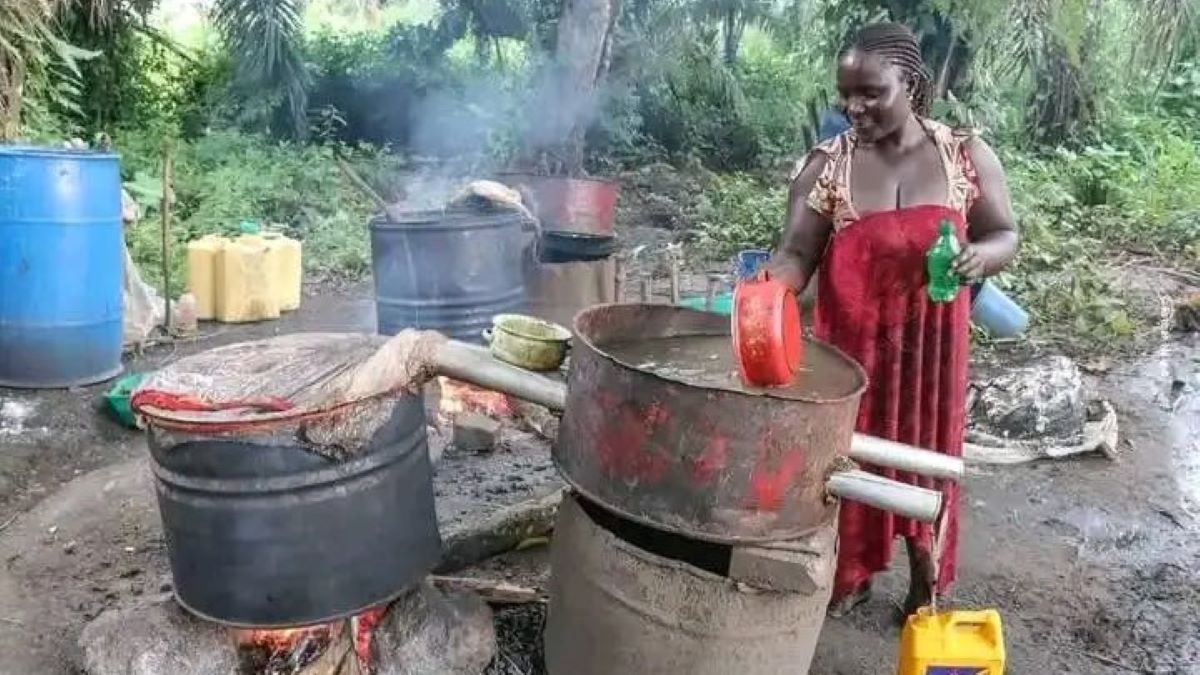 Kananga la vente de l’alcool « Tshitshiampa » et autres boissons fortement alcoolisées interdite sur les artères principales