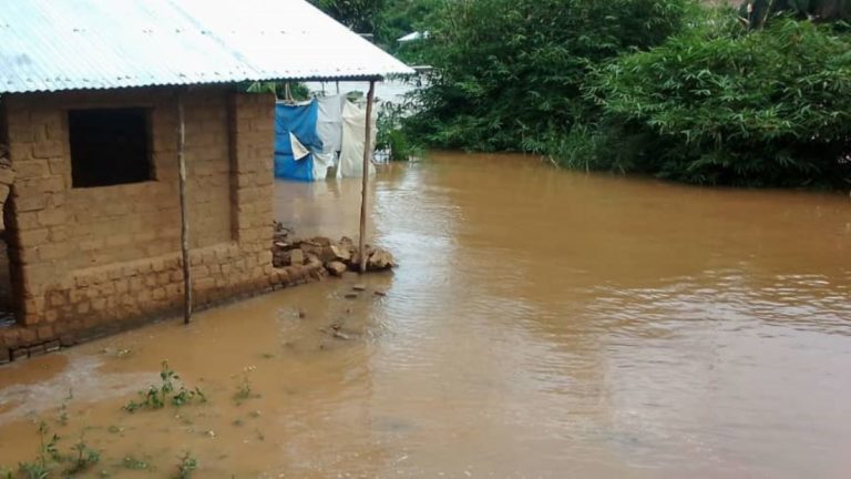 la rivière Tshikapa