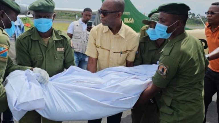 Nord-Kivu Nouvelle tragédie au Parc Virunga, deux éco-gardes tués