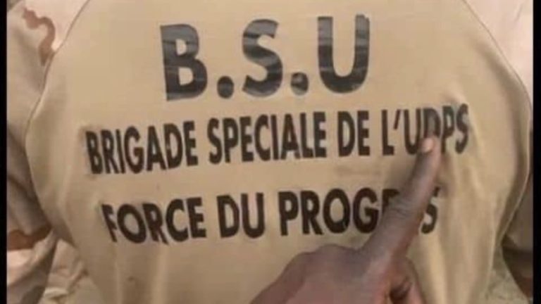 PPRD Force du Progrès UDPS