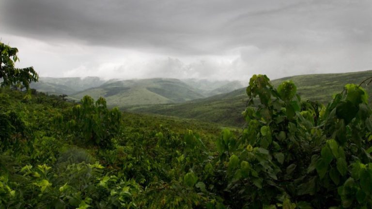 Plateau de Bateke Kinshasa