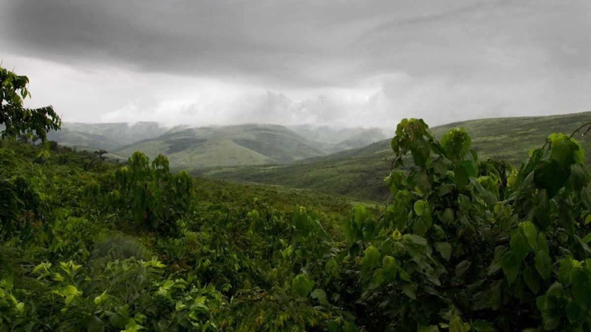 Plateau de Bateke Kinshasa