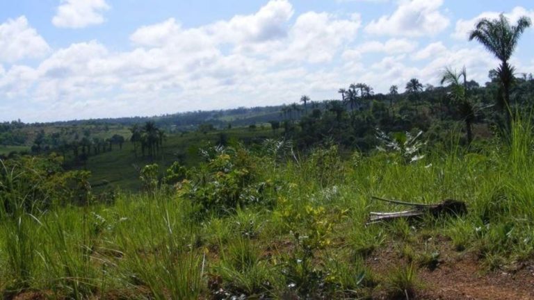 Kongo Central groupes armés non identifiés