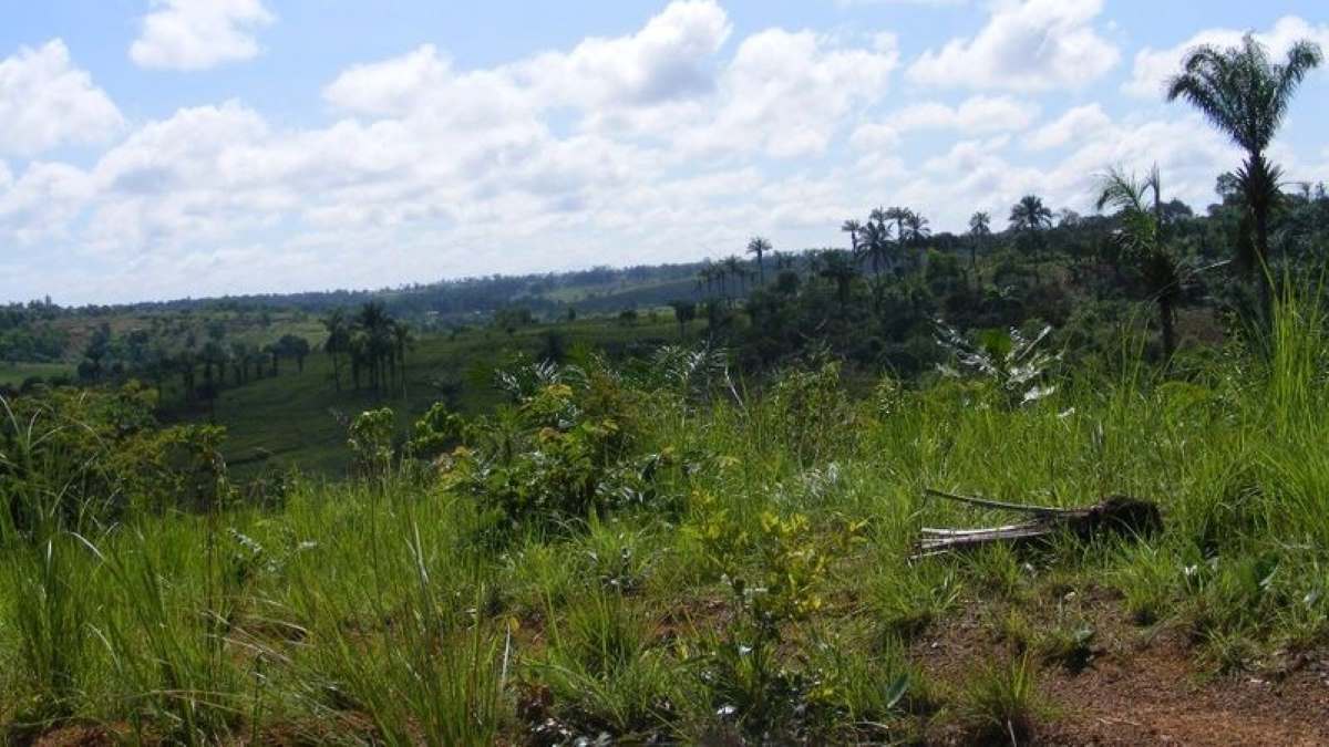 Kongo Central groupes armés non identifiés