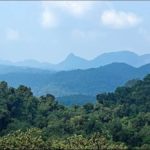 Parc national de Kahuzi Biega
