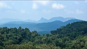 Parc national de Kahuzi Biega