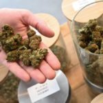 Cannabis Allemagne