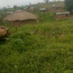 Busanza Annexion par l'Ouganda rdc