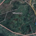 Mwesso M23