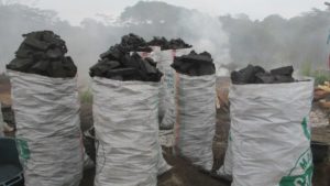 Charbon de Bois BENI nord kivu
